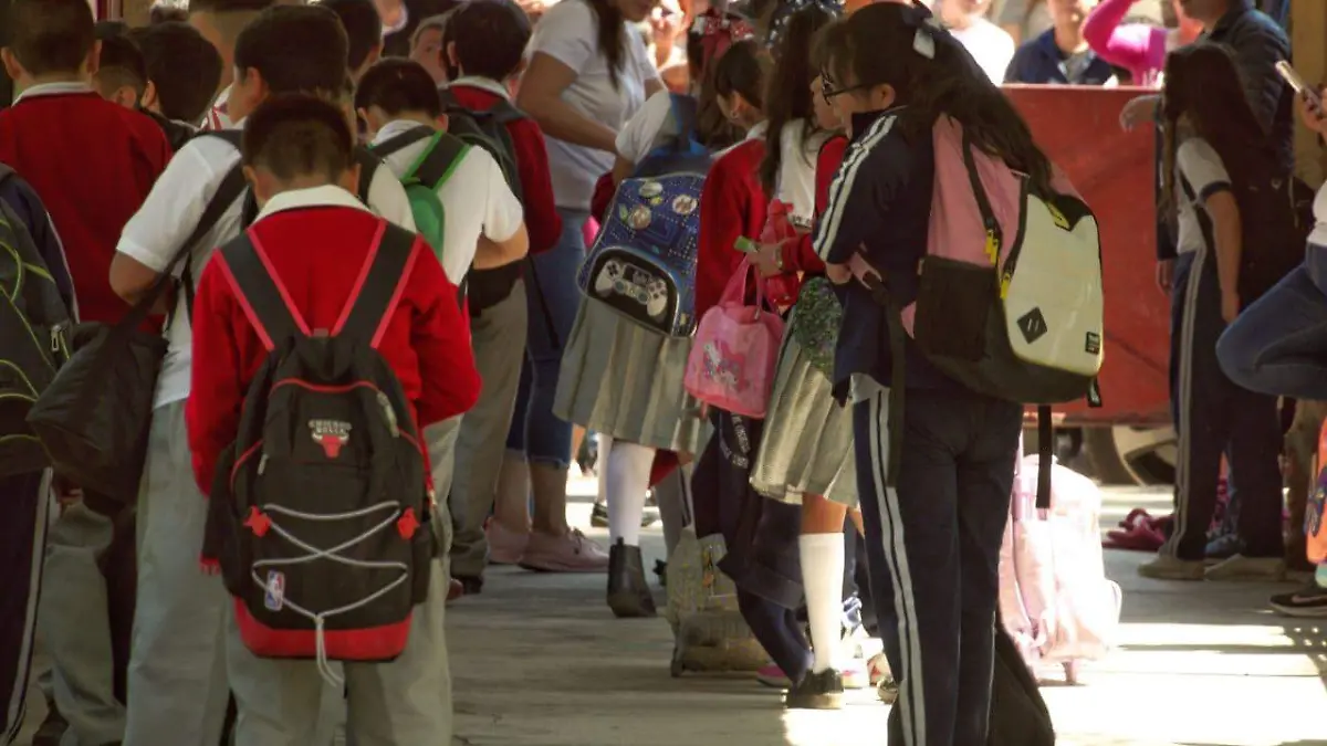 Escuelas verdes